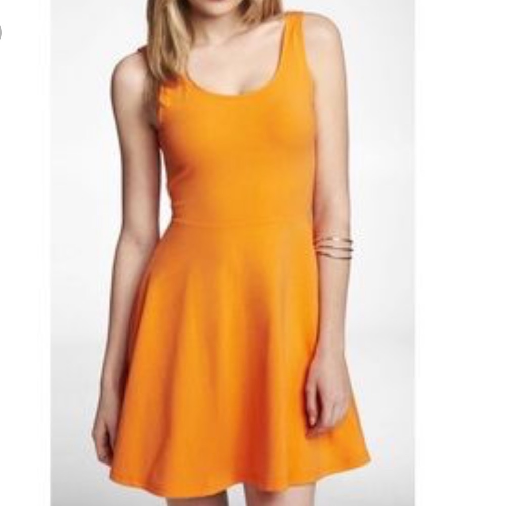 COPY - Express fit n flare skater dress